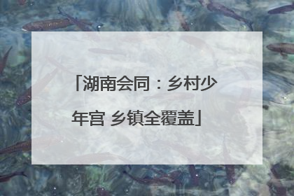 湖南会同：乡村少年宫 乡镇全覆盖