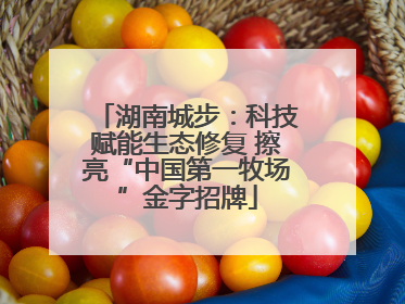 湖南城步：科技赋能生态修复 擦亮“中国第一牧场”金字招牌