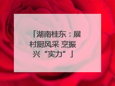 湖南桂东：展村厨风采 烹振兴“实力”