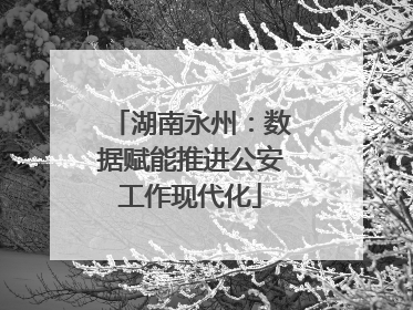 湖南永州：数据赋能推进公安工作现代化