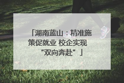 湖南蓝山：精准施策促就业 校企实现“双向奔赴”