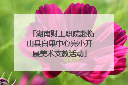 湖南财工职院赴衡山县白果中心完小开展美术支教活动