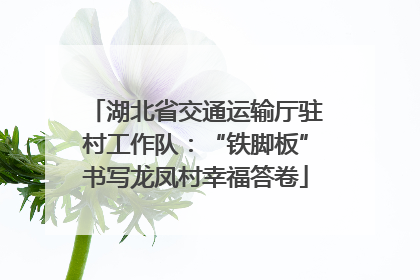 湖北省交通运输厅驻村工作队：“铁脚板”书写龙凤村幸福答卷