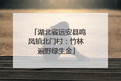 湖北省远安县鸣凤镇北门村：竹林遍野绿生金