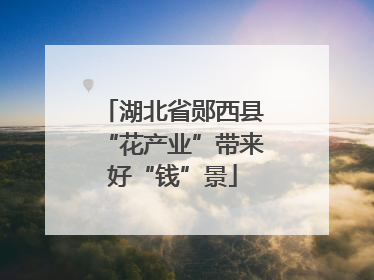 湖北省郧西县“花产业”带来好“钱”景