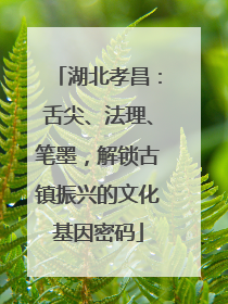 湖北孝昌：舌尖、法理、笔墨，解锁古镇振兴的文化基因密码
