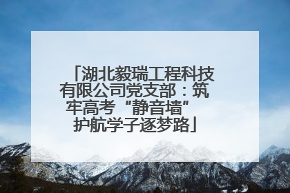 湖北毅瑞工程科技有限公司党支部：筑牢高考“静音墙” 护航学子逐梦路