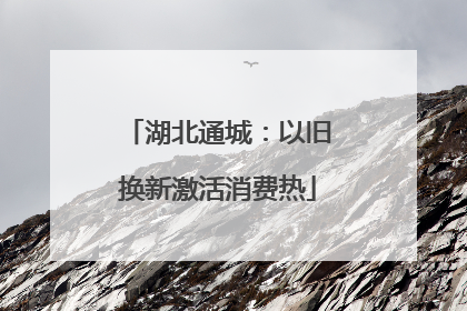 湖北通城：以旧换新激活消费热