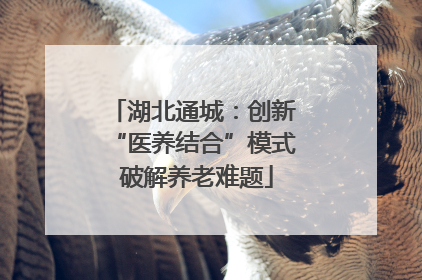 湖北通城：创新 “医养结合”模式 破解养老难题