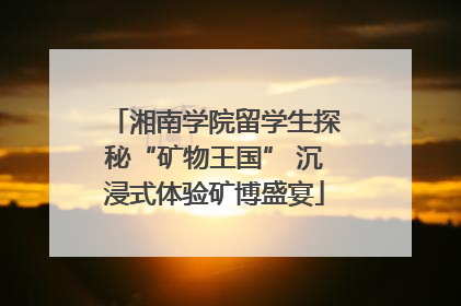 湘南学院留学生探秘“矿物王国” 沉浸式体验矿博盛宴