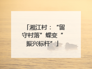 湘江村：“留守村落”蝶变“振兴标杆”