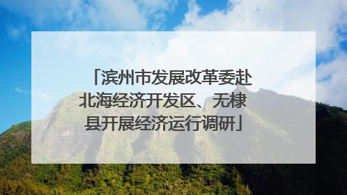 滨州市发展改革委赴北海经济开发区、无棣县开展经济运行调研