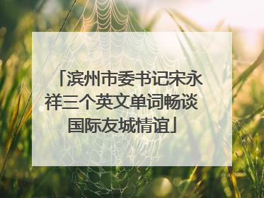 滨州市委书记宋永祥三个英文单词畅谈国际友城情谊