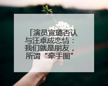 演员宣璐否认与汪卓成恋情：我们就是朋友，所谓“牵手图”双方工作人员均在场