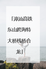 漳汕高铁东山跨海特大桥栈桥合龙