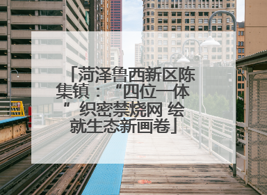菏泽鲁西新区陈集镇：“四位一体”织密禁烧网 绘就生态新画卷