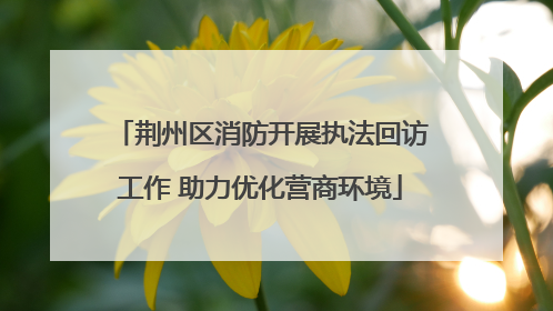 荆州区消防开展执法回访工作 助力优化营商环境