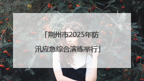 荆州市2025年防汛应急综合演练举行
