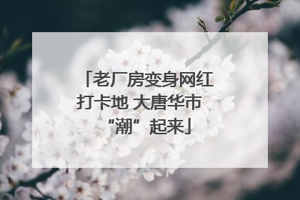 老厂房变身网红打卡地 大唐华市“潮”起来