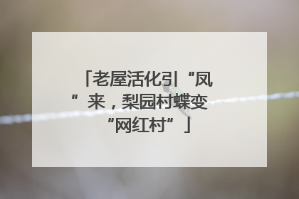 老屋活化引“凤”来，梨园村蝶变“网红村”