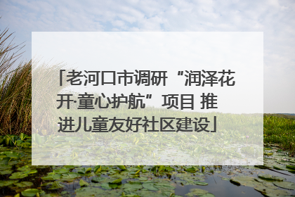 老河口市调研“润泽花开·童心护航”项目 推进儿童友好社区建设