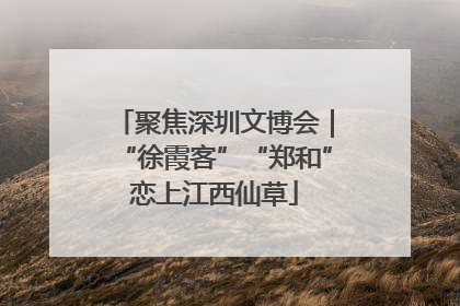 聚焦深圳文博会｜“徐霞客”“郑和”恋上江西仙草