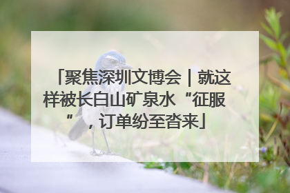 聚焦深圳文博会｜就这样被长白山矿泉水“征服”，订单纷至沓来