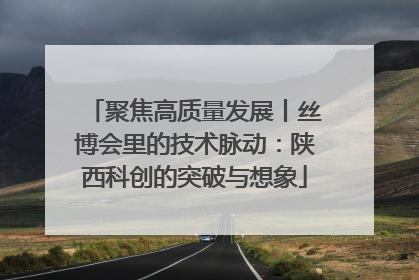 聚焦高质量发展丨丝博会里的技术脉动：陕西科创的突破与想象