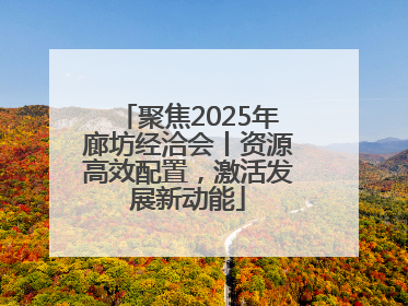 聚焦2025年廊坊经洽会丨资源高效配置，激活发展新动能