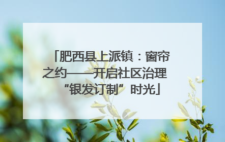 肥西县上派镇：窗帘之约——开启社区治理“银发订制”时光