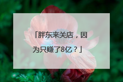 胖东来关店，因为只赚了8亿？