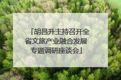 胡昌升主持召开全省文旅产业融合发展专题调研座谈会
