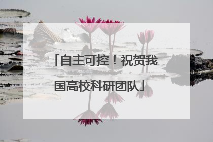 自主可控！祝贺我国高校科研团队