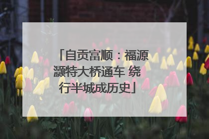 自贡富顺：福源灏特大桥通车 绕行半城成历史
