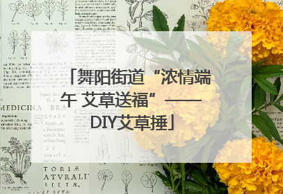 舞阳街道“浓情端午 艾草送福”——DIY艾草捶