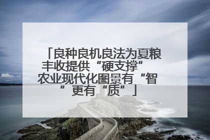 良种良机良法为夏粮丰收提供“硬支撑” 农业现代化图景有“智”更有“质”