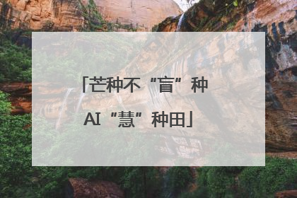 芒种不“盲”种 AI“慧”种田