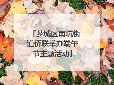 芗城区南坑街道侨联举办端午节主题活动