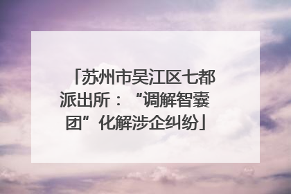 苏州市吴江区七都派出所：“调解智囊团”化解涉企纠纷