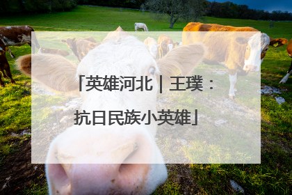 英雄河北｜王璞：抗日民族小英雄