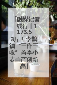 融媒记者一线行丨1173.53斤！李鹊镇“三作三收”首季小麦亩产创新高