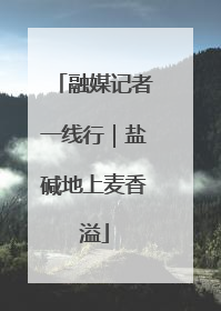 融媒记者一线行｜盐碱地上麦香溢