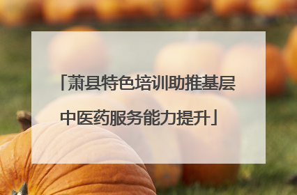 萧县特色培训助推基层中医药服务能力提升