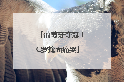 葡萄牙夺冠！C罗掩面痛哭