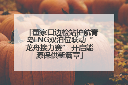 董家口边检站护航青岛LNG双泊位联动“龙舟接力赛” 开启能源保供新篇章