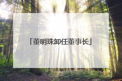董明珠卸任董事长