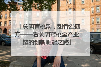 蒙阴育桃韵，甜香溢四方——看蒙阴蜜桃全产业链的创新崛起之路