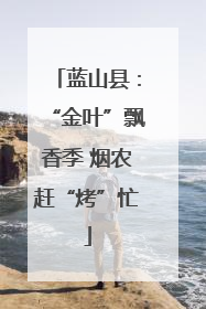 蓝山县：“金叶”飘香季 烟农赶“烤”忙