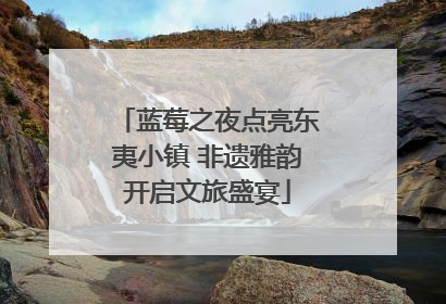 蓝莓之夜点亮东夷小镇 非遗雅韵开启文旅盛宴