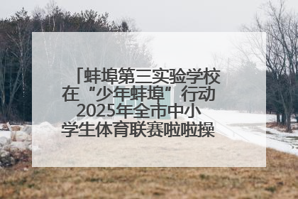 蚌埠第三实验学校在“少年蚌埠”行动2025年全市中小学生体育联赛啦啦操比赛中获佳绩